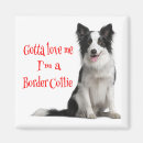 Search for black border magnets Collie