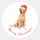 Search for golden retriever dog stickers Pet lover