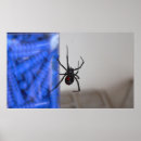 Search for black widow posters Web