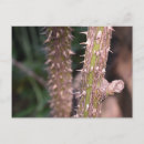 Search for stems postcards Green
