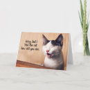 Search for snarky cards Cat
