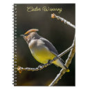 Search for wild notebooks Photograph
