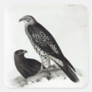 Search for galapagos island stickers School