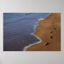 Search for barefoot posters Beach