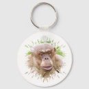 Search for chimpanzees key rings Apes