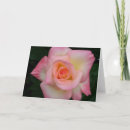 Search for died cards Rose