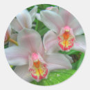 Search for beautiful orchid stickers Flower