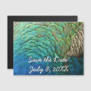 Search for peacock feather save invitations Blue
