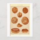 Search for balkan vertical postcards Vintage