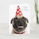 Search for red hats birthday cards Funny