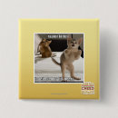 Search for raptor badges I can has cheezburger