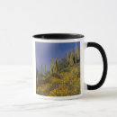 Search for pipe organs mugs Flora