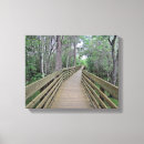 Search for boardwalk canvas prints Nature
