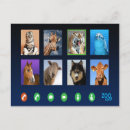 Search for cattle dog postcards Animal