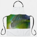 Search for dragonflies aprons Insect