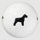 Search for mini golf equipment Schnauzer