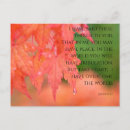 Search for raindrop postcards Photography