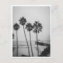 Search for black and white palm trees postcards Ocean