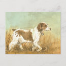 Search for brittany spaniel postcards Pets