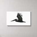 Search for bird pictures canvas prints Photos