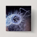 Search for cells badges Magnification