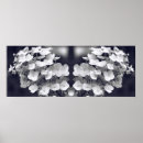Search for black and white flowers posters Nature