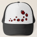 Search for ladybug hats Bugs