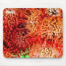 Search for reale mouse mats For him