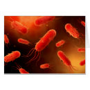 Search for bacterium Medicine