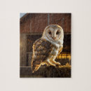 Search for barn owl puzzles Bird