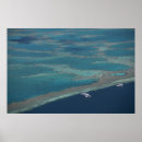 Search for great barrier reef posters Sea