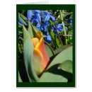 Search for budding photography Blue
