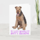 Search for airedale terrier birthday cards Dog