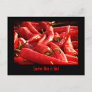 Search for chili postcards Chilli