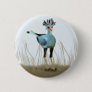 Search for raptor badges Bird of prey