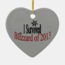 Search for survival christmas tree decorations Winter