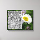Search for daisy pictures canvas prints Nature