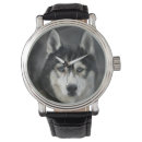 Search for husky watches Animal
