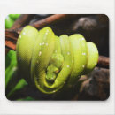 Search for reptile mouse mats Green