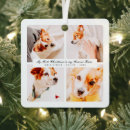 Search for photo collage christmas tree decorations Pet