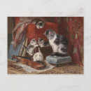 Search for playful postcards Kitten