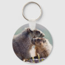 Search for marmot key rings Nature