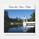 Search for del magnets Chile
