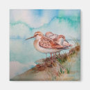 Search for shore magnets Bird