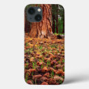 Search for growth cases Blue