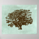 Search for spas posters Trees