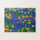 Search for hyacinth puzzles Nature