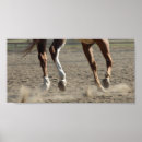 Search for hooves posters Horse