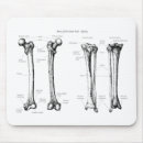 Search for human anatomy mouse mats Skeleton