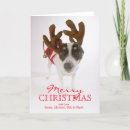 Search for dress christmas cards Dog